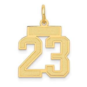 14K Gold Satin Number 23 Charm with Brushed Finish  Small and Elegant
