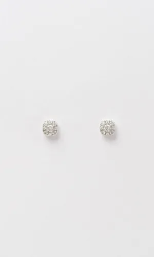 18K WG 0.28ct TDW Petite Diamond Cluster Stud Earrings
