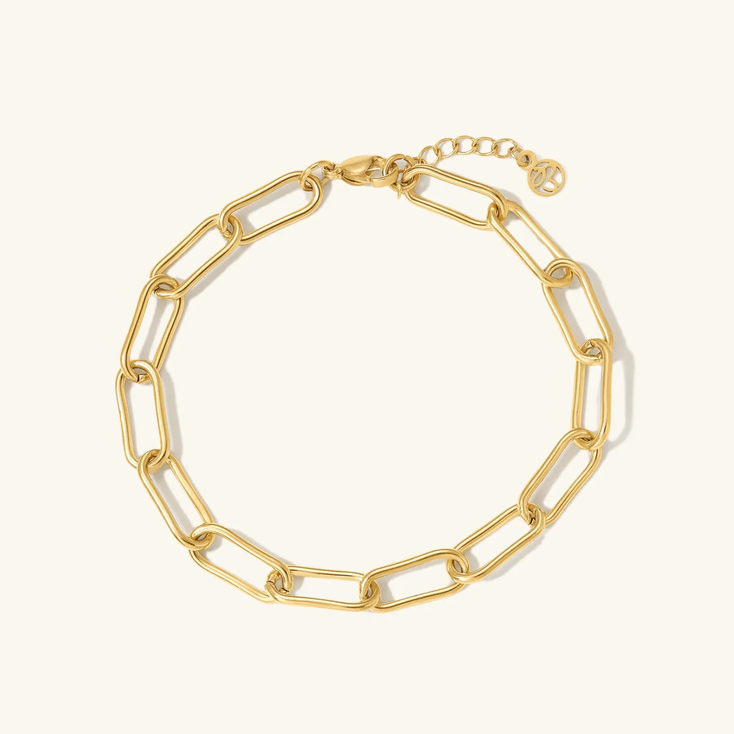 Paperclip Chain Anklet