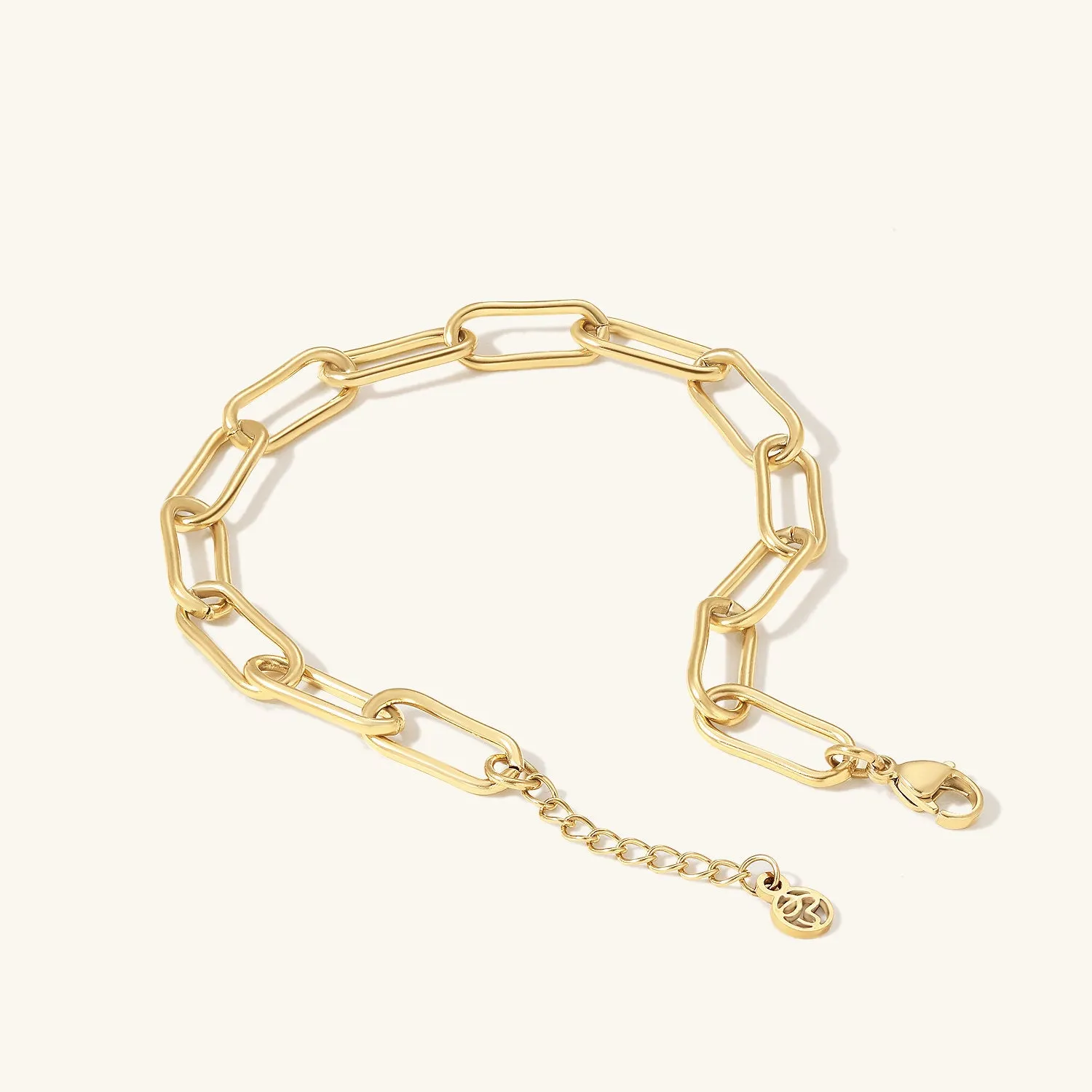 Paperclip Chain Anklet