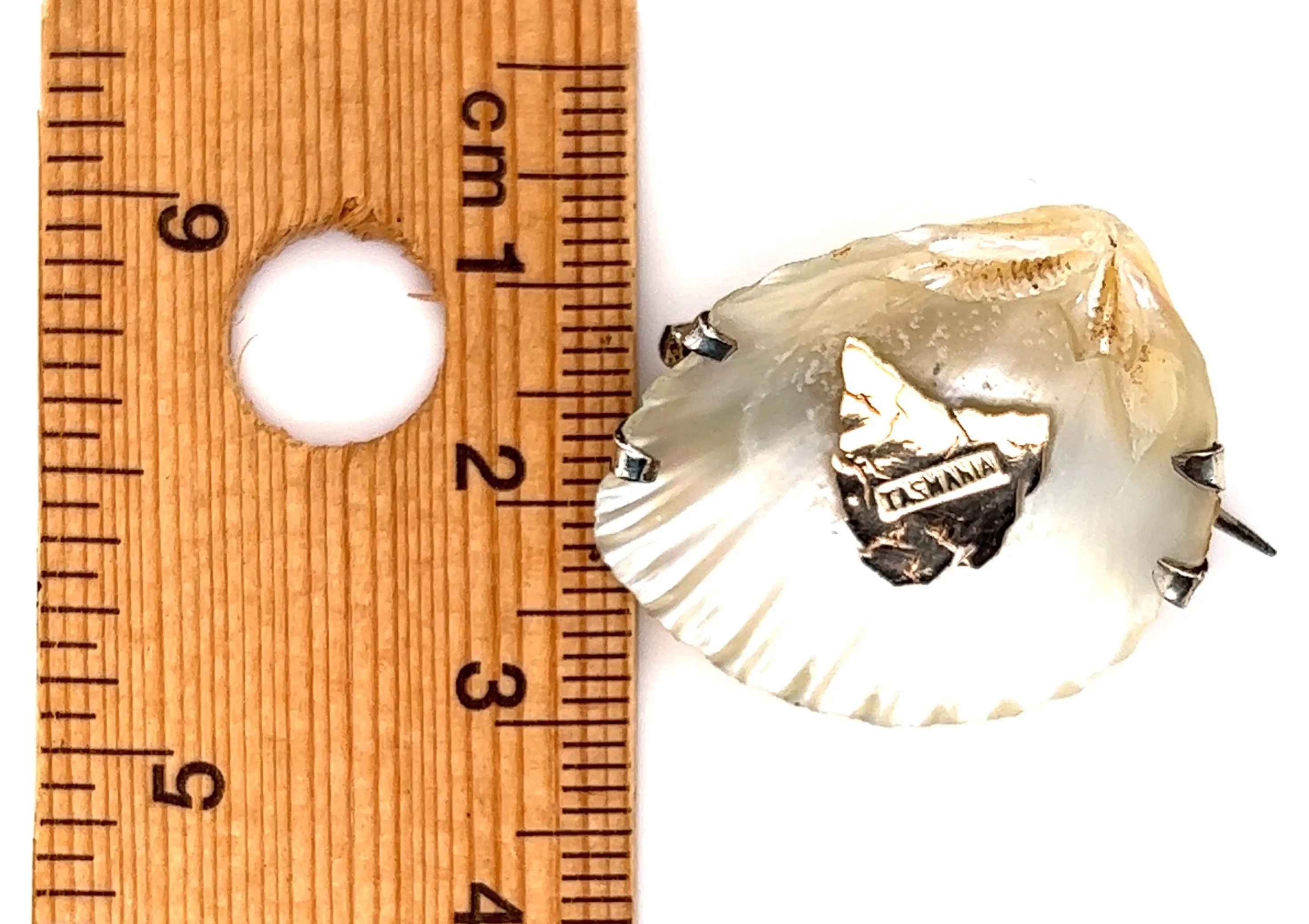 Shell Brooch with 9ct yellow Gold Tasmania & Sterling Silver Setting